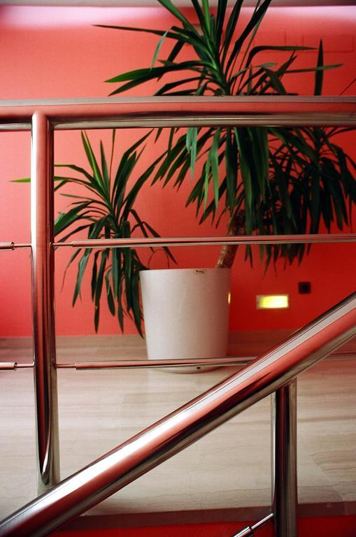 Sercotel San Jose Albacete Interiør bilde